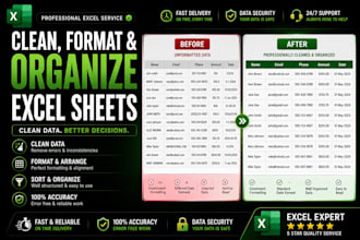 clean, format and organize excel spreadsheets professionally
