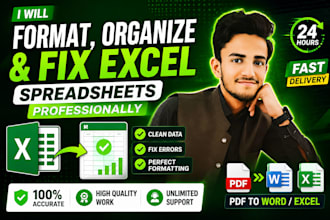 format, organize and fix excel spreadsheets professionally