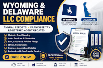 file wyoming and delaware annual reports and provide registered agent services