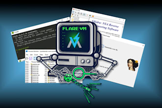 do malware analysis, reverse engineering, and cybersecurity task