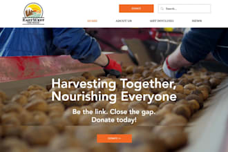design a nonprofit website, charity website, 501c3 website, donation website