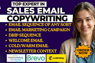 write email copy, email copywriting email campaign email marketing sales copy