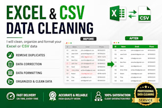 clean and organize your excel or CSV data
