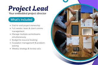 be your project manager or operations manager