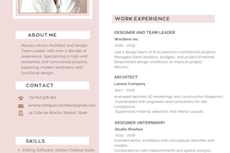 design a professional modern CV and resume layout