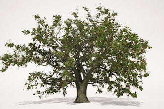 create realistic 3d plants and trees in speedtree for games