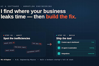 audit then build ai and software for your business efficiency
