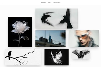 build a custom ecommerce store for your clothing brand