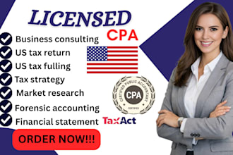 do business consulting, tax strategy, feasibility study, market research
