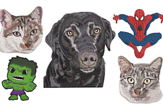 do embroidery digitizing into dst,pes emb in 1 hour