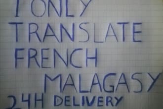 translate french to malagasy accurately and fast