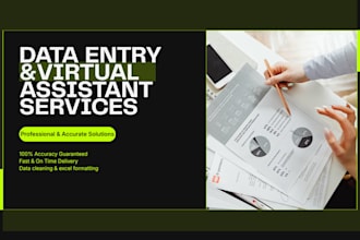 do professional data entry, copy paste and typing work