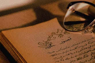 teach you sindhi, urdu, or hindi