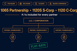 prepare your US business tax return 1065 and 1120s