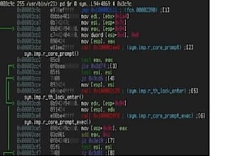 decompile forex ea and remove ea license reverse engineer exe