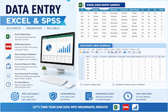 provide kobotoolbox, excel and spss data support