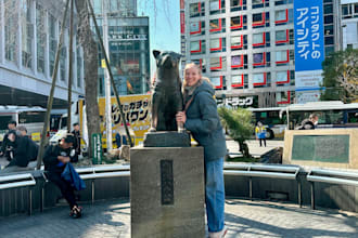 plan your trip to japan or south korea