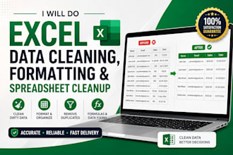 do excel data cleaning,formatting and spreadsheet cleanup