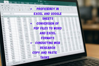 do accurate data entry, excel data entry and web search