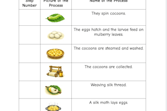 design educational worksheets for kids and teachers