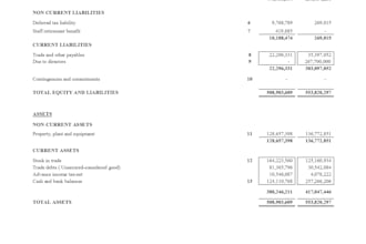 provide professional accounting and bookkeeping services