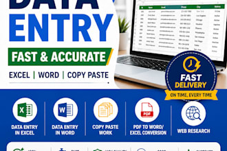data entry and excel work service