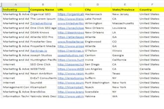 deliver forex leads, hr, mlm, crypto leads,recovery leads, agent, truck, probate