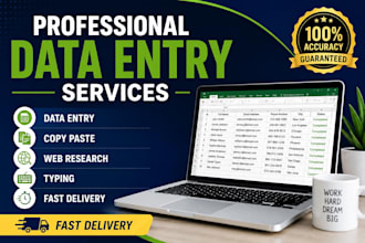do data entry, copy paste tasks and excel work