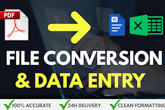 do professional data entry, PDF to excel, and copy paste work