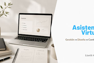seré tu asistente virtual administración y diseño