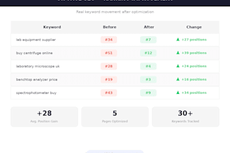 perform on page SEO for rankings, leads and conversions