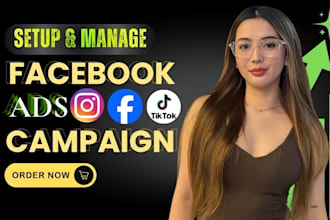 do meta ads management, facebook ads manager and ads setup