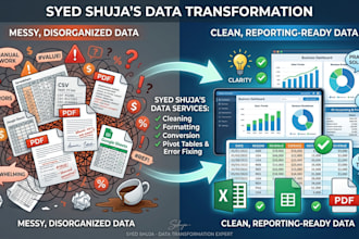 do data cleaning, formatting, and organizing in excel or CSV
