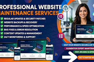 do professional wordpress website maintenance and monthly updates