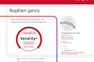 provide entry level cyber security analyst services