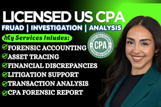 investigate fraud, financial discrepancies, and forensic accounting issues