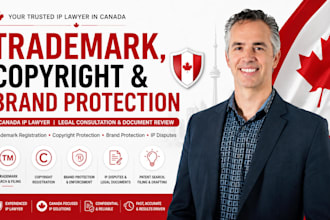 your ip lawyer for trademark copyright disputes and provide legal consultation