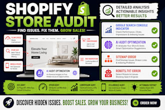 a complete shopify store audit and performance analysis