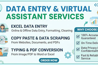do professional data entry and copy paste work