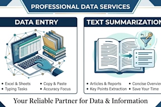 do professional data entry and text summarization