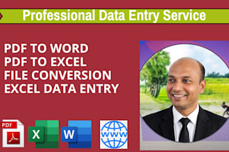 do accurate data entry, copy paste, and excel tasks