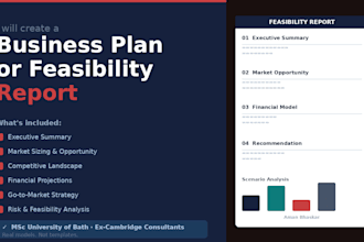 create a business plan or feasibility report