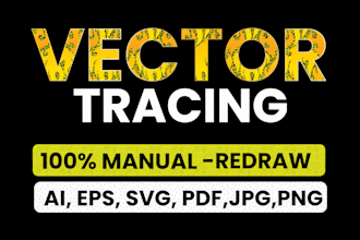 provide professional manual vector tracing and redrawing