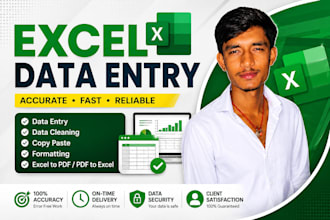 do microsoft excel data entry, data cleaning and formatting