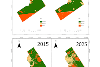 do land cover classification and change detection analysis with maps