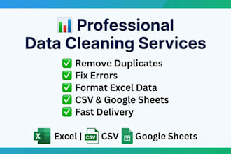 professionally clean and pre process your data for analysis