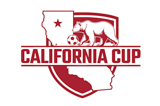 design a custom california cup bear logo for your brand