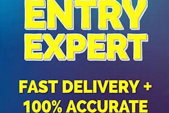 do manual data entry and excel spreadsheet work