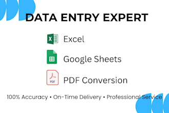 provide accurate data entry excel and spreadsheet tasks