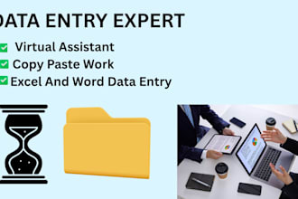 do professional data entry and copy paste work